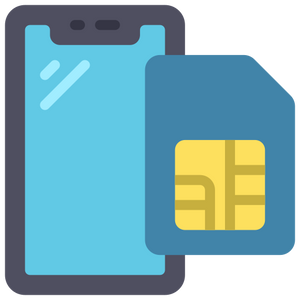 Feature icon